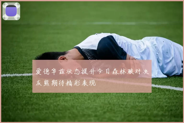 爱德华兹状态提升今日森林狼对决灰熊期待精彩表现