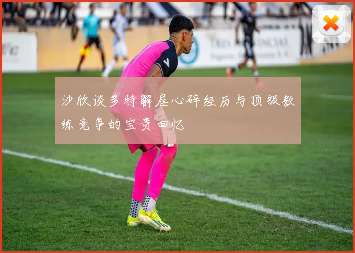 沙欣谈多特解雇心碎经历与顶级教练竞争的宝贵回忆
