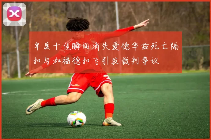 年度十佳瞬间消失爱德华兹死亡隔扣与加福德扣飞引发裁判争议